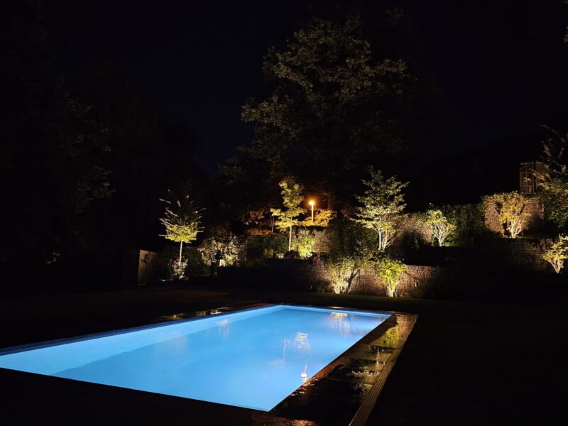 Beleuchteter Pool und angestrahlte Gehölze am Abend